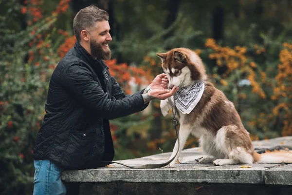 Perro con dueño de hombre —  Fotos de Stock