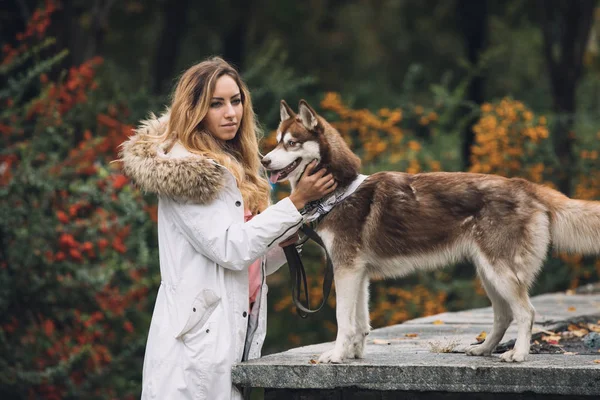 Mulher com retrato de cão — Fotografia de Stock