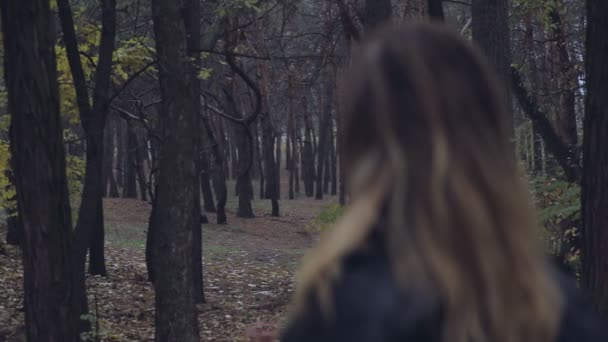 Unidentified woman going in dense pine forest, rear view — Stock Video