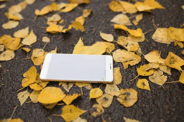 Smartphone perdido ileso en el suelo — Foto de Stock