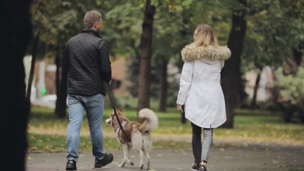 Пара прогулок вместе с собакой Хаски в парке в осенний день, вид сзади, замедленное движение — стоковое видео