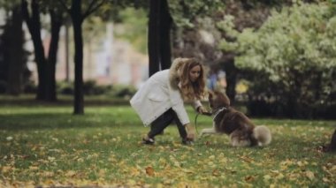 Kadın parkta husky köpek ile sonbahar gününde oynarken yavaş hareket