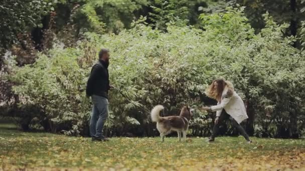 Mężczyzna i Kobieta, grając z psem husky w parku w jesienny dzień, zwolnionym tempie, ona drażni jej zachować paszy — Wideo stockowe