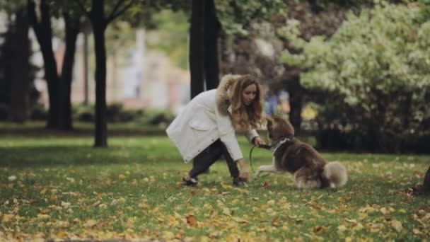 Woman playing with a dog husky in park at the autumn day, slow motion — Stock Video