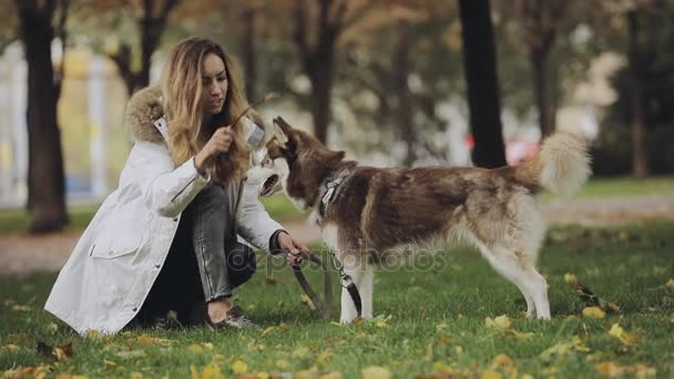 Женщина играет с собакой хаски в парке в осенний день, замедленная съемка — стоковое видео