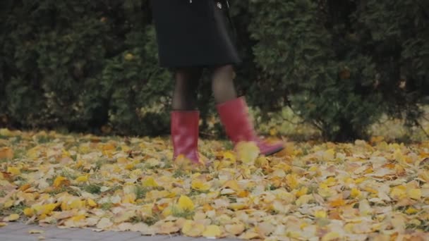 Movimiento lento de las piernas de la mujer que va en el follaje amarillo del otoño — Vídeos de Stock