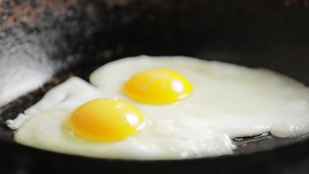 Omelett auf Pfanne zubereiten, eine Prise Salz hinzufügen — Stockvideo