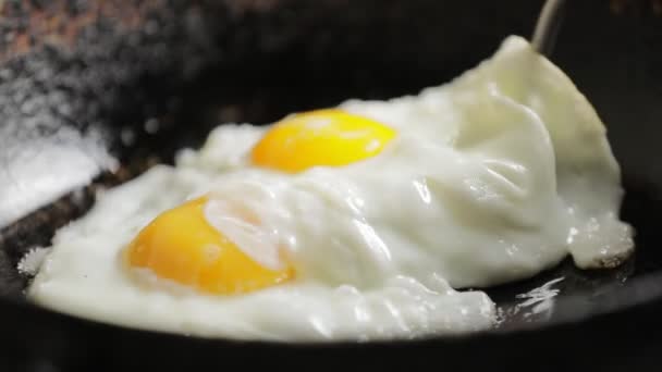 Tomando a omelete preparada da panela — Vídeo de Stock