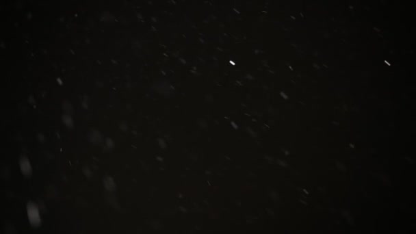 Tle śniegu w nocy — Wideo stockowe