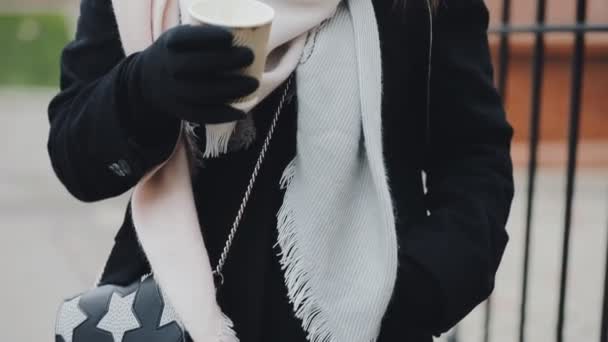 Femme buvant du café de tasse en papier près de la clôture à l'hiver froid — Video