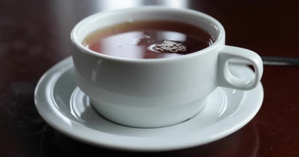 Echar azúcar en una taza de té — Vídeo de stock