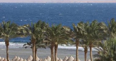 Güneşli rüzgarlı gün Mısır Resort'ta bir deniz plaj avucunda