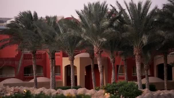 Шарм-эль-Шейх, пальмы возле красных зданий, сильный ветер в бурный день — стоковое видео