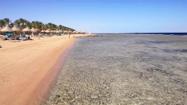 看沙姆沙伊赫海滩, 海浪风景 — 图库视频影像