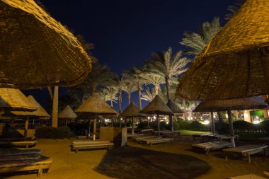 Gökyüzü arka planda gece beach resort, palmiye ağaçları