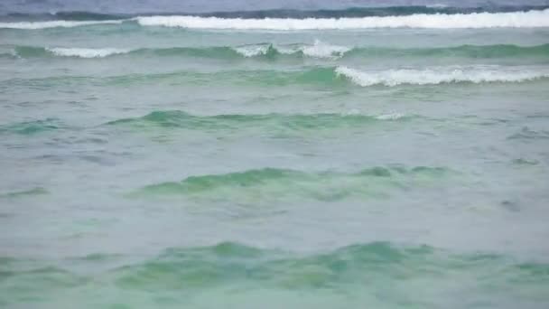 Blue sea waves in tropical resort — Stock Video