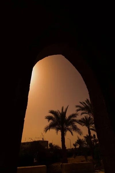 Silueta de una palmera en el arco al atardecer —  Fotos de Stock