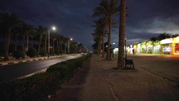 POV, walking in evening Egypt city street alley, palms around. — Stock Video