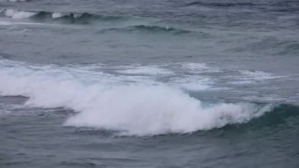 Ondas do mar fecham no dia tempestuoso — Vídeo de Stock