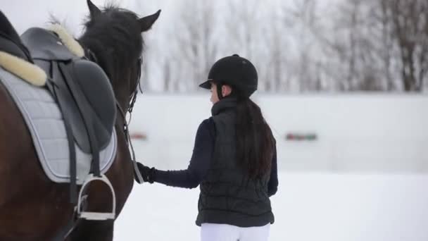 Женщина уходит с лошадью в снежный зимний день, вид сзади — стоковое видео