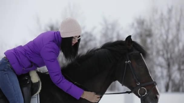 La ternura de la mujer con el caballo en la granja en invierno — Vídeos de Stock
