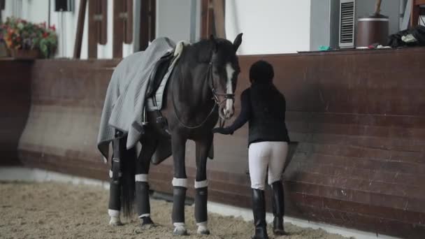 Cavalaria sobe a cavalo em um cerco aviário — Vídeo de Stock