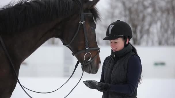 Dolcezza, donna dare da mangiare e accarezzare il suo cavallo nella giornata invernale — Video Stock