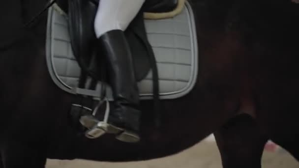 Профессиональная наездница верхом на лошади в манеже, вид сзади — стоковое видео