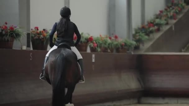 Profi-Reiterin reitet Pferd in Manege, galoppiert — Stockvideo