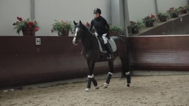 Unavení koně po spuštění, dýchání s par, profesionální jezdkyně rider — Stock video