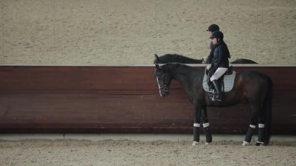 Professionell ryttarinna Rider häst i en manege — Stockvideo