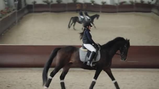 Cavalière professionnelle à cheval dans un manège, galop de course — Video