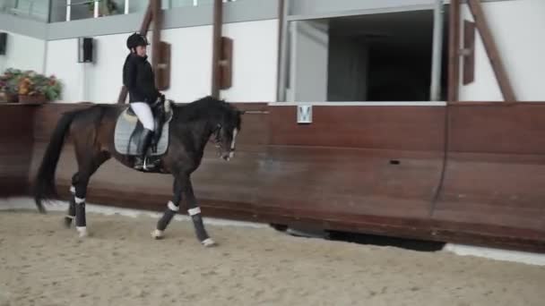 Профессиональная наездница верхом на лошади в манеже, бегущая галопом — стоковое видео