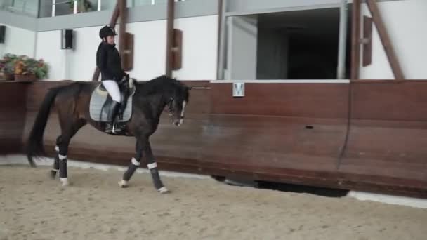 Cavalière professionnelle à cheval dans un manège, galop de course — Video