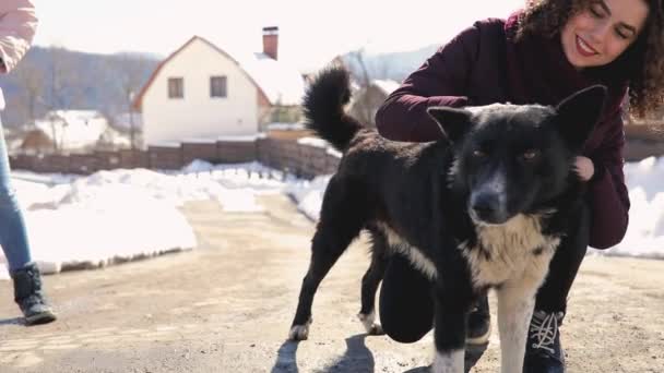 Kvinna leker med hunden på landsbygden — Stockvideo