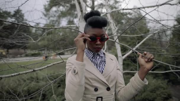 Modieuze vrouw stijlvolle zonnebril dragen in park in de buurt van boom — Stockvideo