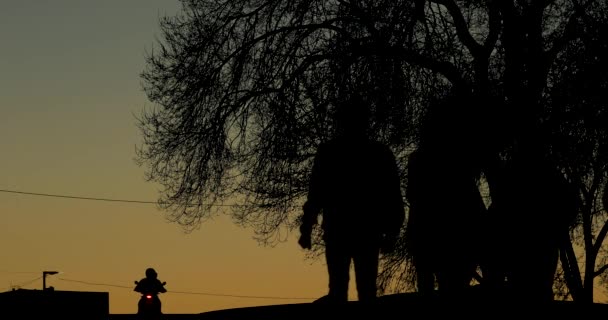 Silhouette de personnes marchant au coucher du soleil en ville près d'un arbre — Video