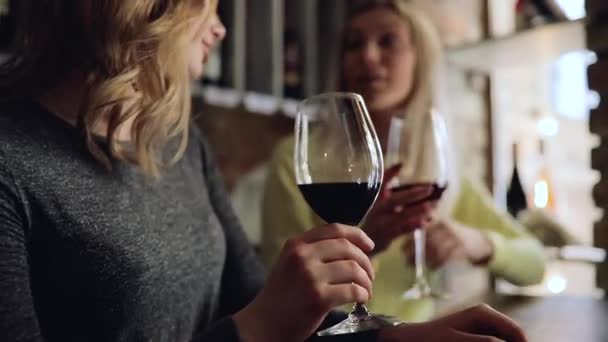 Jovens mulheres bebendo copo de vinho juntas — Vídeo de Stock