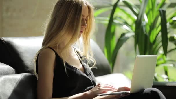 Сексуальная женщина открывает ноутбук и работает в офисе — стоковое видео