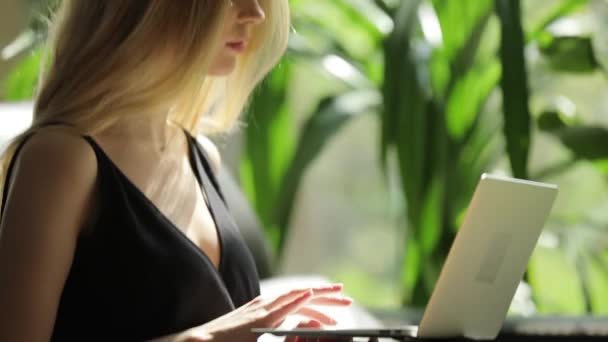 Sexy vrouw opengeklapte laptop en werken op kantoor — Stockvideo