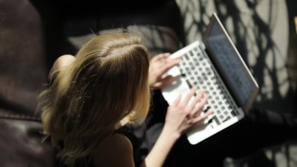 Sexy vrouw die werkt in het kantoor met een laptop, bovenaanzicht — Stockvideo