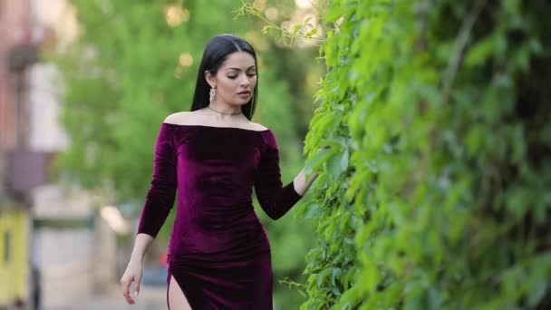 Luxusfrau im weinroten Kleid spaziert im Gebüsch — Stockvideo