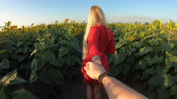 Pov. Volg me. Vrouw houdt vriendjes hand wandelen in zonnebloem veld. — Stockvideo