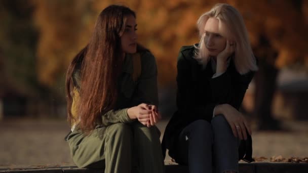 두 여자 친구 가강 근처에 앉아서 함께 이야기를 한다 — 비디오