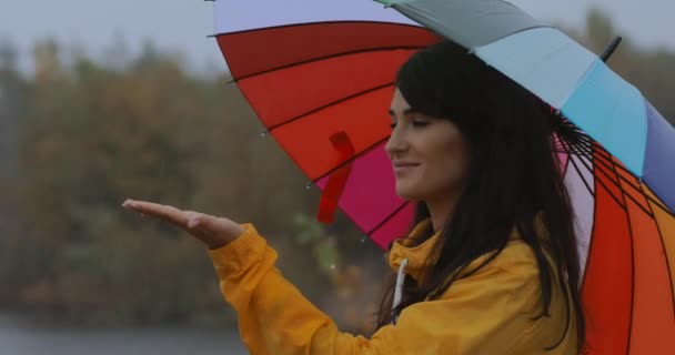 Femme attraper des gouttes de pluie sous parapluie — Video