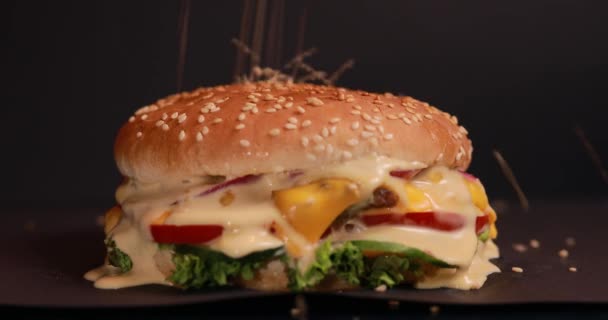 Hacer hamburguesa, espolvorear semillas de sésamo — Vídeos de Stock