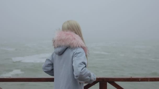 Acalma-te. Visão traseira, mulher olhando para as ondas do mar . — Vídeo de Stock