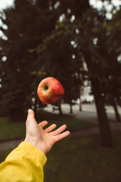 Throwing apple above the palm — Stock Photo, Image