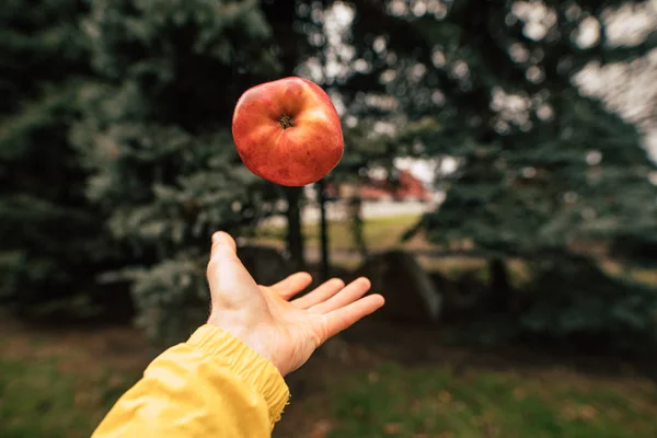 Omenan heittäminen kämmenen yläpuolelle — kuvapankkivalokuva