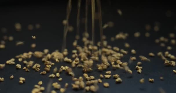 Gold mining, sprinkle fraction of rare metal — Stock video